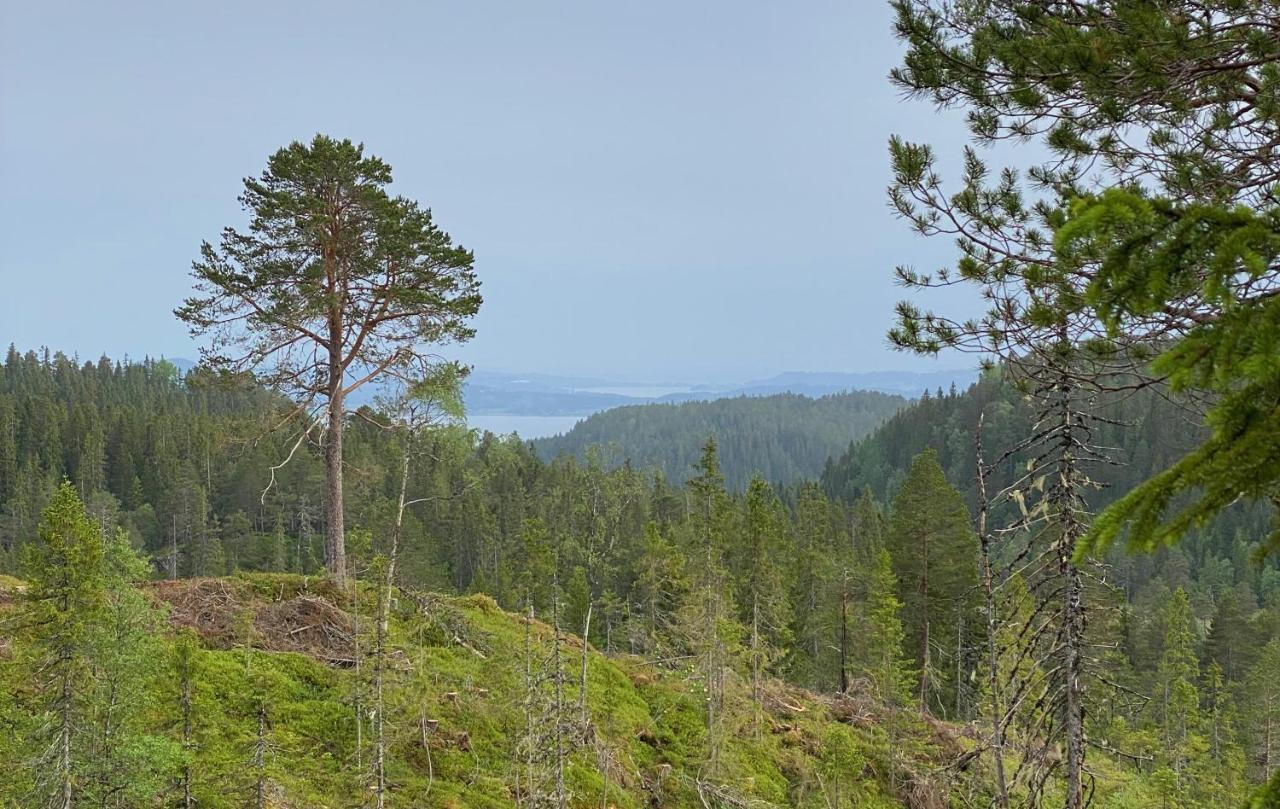 Вилла Fjellstad Gard - 2 Minutes From E6 And 5 Minutes Drive From Steinkjer City Экстерьер фото